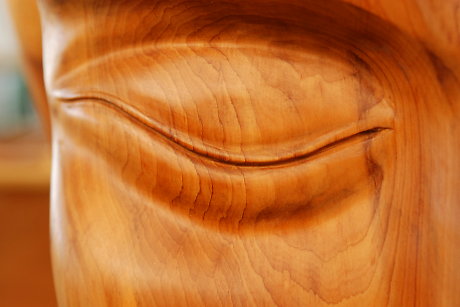 Foto: Augenlid in Holz gearbeitet