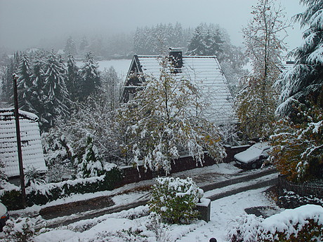 Foto: Schnee im November