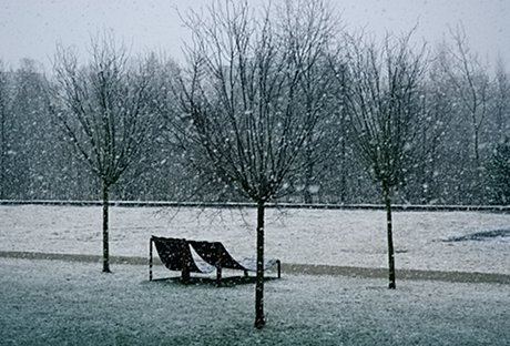 Foto: Schneefall im Sdpark