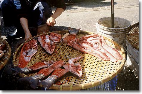 fangfrischer Fisch - es bewegt sich noch