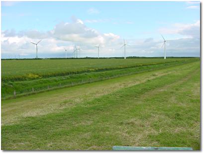 Foto: Windkraftanlage auf Fehmarn