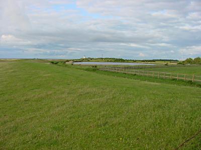 Deich, Westermarkelsdorf, Blick in nrdliche Richtung