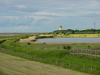 Deich, Westermarkelsdorf, Blick in nrdliche Richtung, Leuchtturm