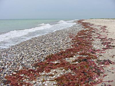 Naturstrand