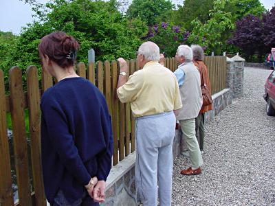 Westermarkelsdorf - Rosenhof, Zaungste