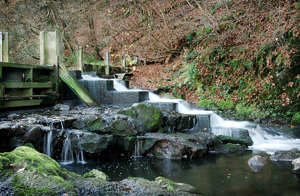 Foto: Wehr ,it Fischtreppe