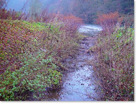 Foto zeigt den verstopften Zufluss zum Obergraben des Balkhauser Kottens am 27.11.2004