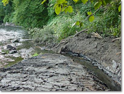 Foto: Untergraben, 1. September 2002