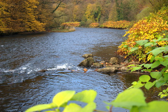 Wehrberrest am Balkauser Kotten