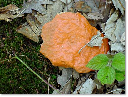Foto: Ein mit oranger Farbe angestrichener Stein