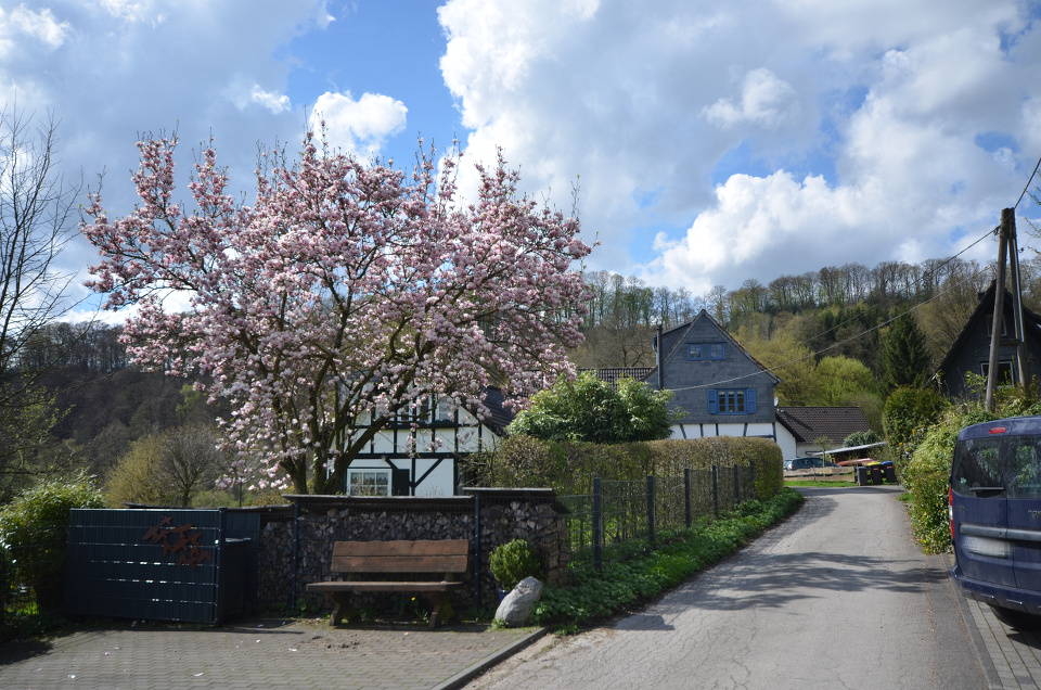 Foto mit Fachwerkbauten und Strae