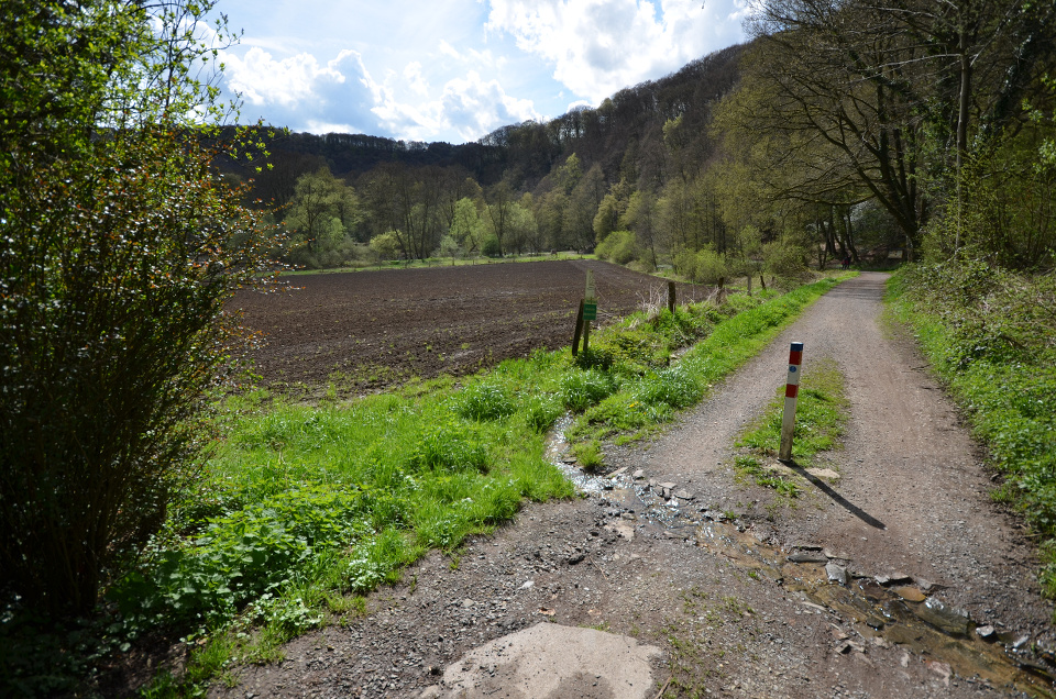 Foto mit Weg und Polder