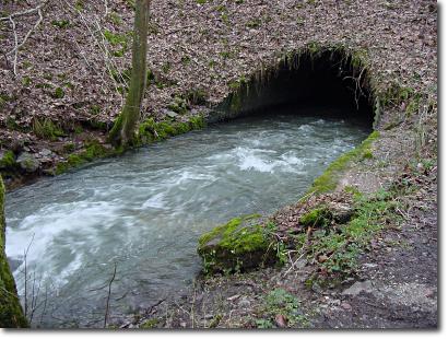 Foto: 2003, Sengbach, Winterhochwasser