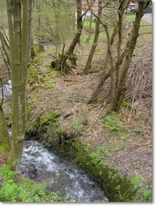 Foto 2001: Windfelner Bach und alter Obergraben 