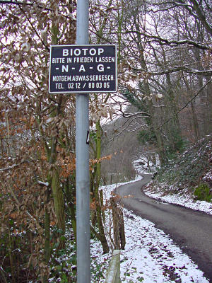 Hohlenpuhler Kotten - Biotop, Hohlenpuhler Weg, Blickrichtung Wipperaue