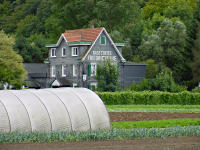 Foto - Landgasthof Friedrichsaue