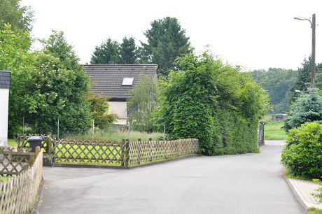 Foto: Weg Hsten mit Hecke und Gebude