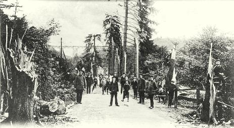 Zeitgenssiges Foto zeigt die Reste der Tannenallee in Mngsten