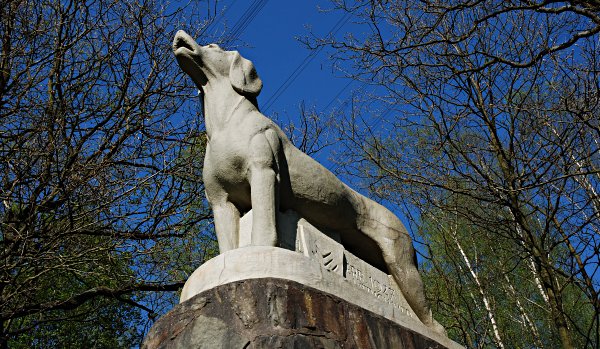 Denkmal zu Ehren eines Hundes