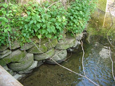 Mndung Weinsberger-Bach in die Wupper