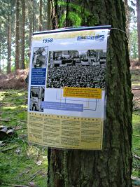 Foto: an einem Baum angebrachte Zeittafel