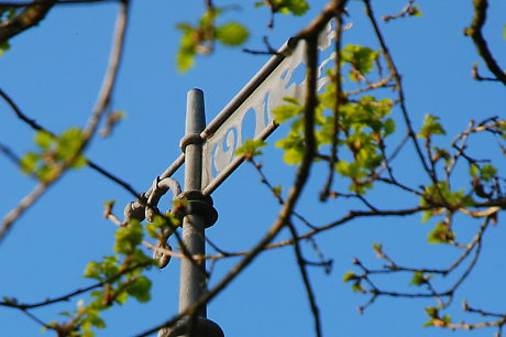 Diederichstempel, Wetterfahne