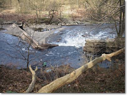 Wehr an der Papiermühle, 16.3.2002