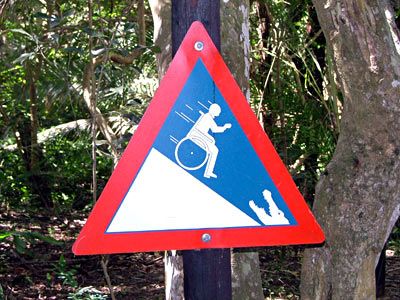 Foto: Achtung, lebende Echsen verschonen keine Rollstuhlfahrer