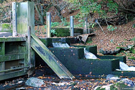 Foto: Wupperwehr mit Fischaufstieg