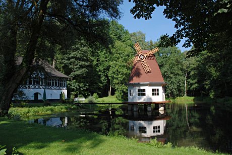 Foto: Mhle im oder auf dem Teich