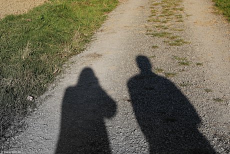 Foto: Schatten auf dem Weg