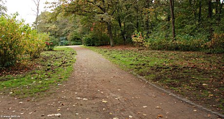 Foto: Wildschwein-Schden