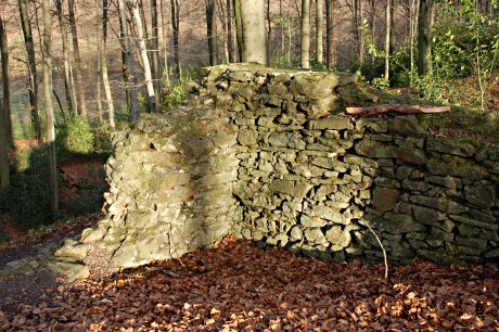 Foto: Mauerreste im Wald