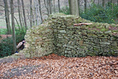 Foto: Mauerreste im Wald