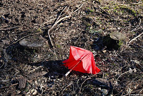 Foto: Roter, defekter Regenschirm in der Botanik
