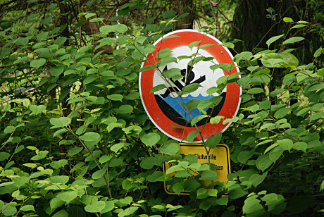 Foto: Warnschild vor einer Flutwelle