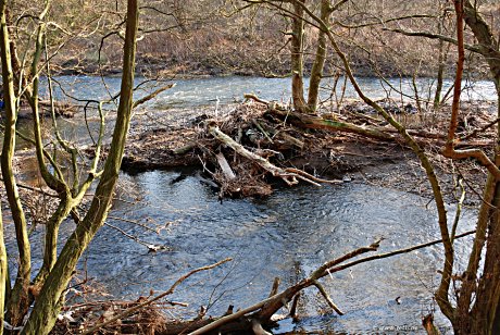 Foto: Wupper nach einem Hochwasser