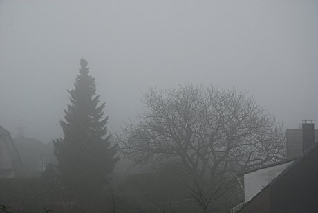 Foto: Nebel