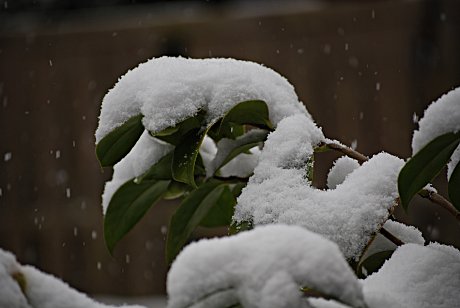 Foto: Schnee