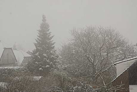 Foto: Schneefall