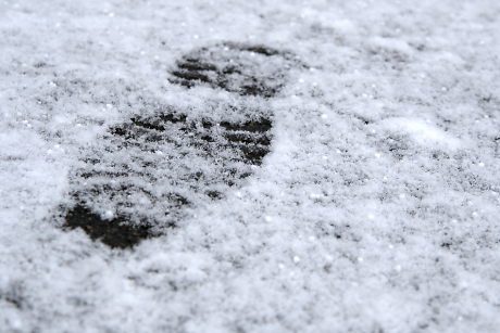 Foto: Spur im Schnee