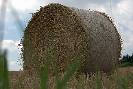 Foto: Strohballen