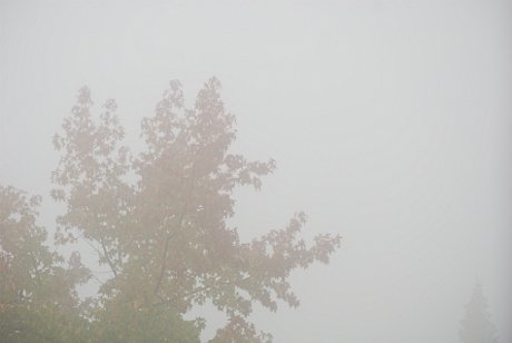 Foto: Nebel