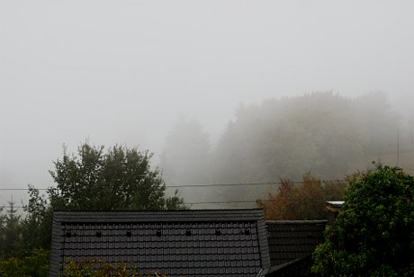 Foto: Nebel