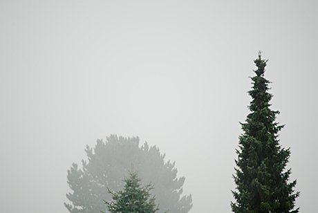 Foto: Nebel