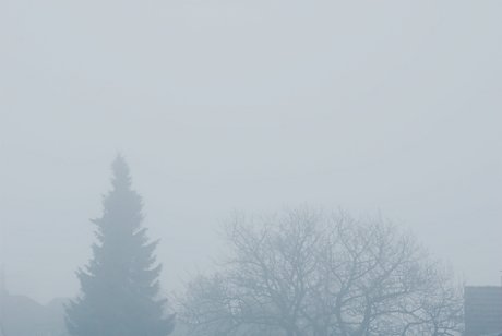 Foto: Nebel