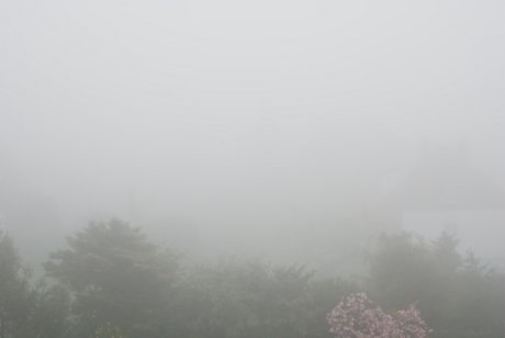 Foto: Nebel