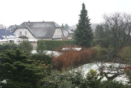 Foto: Blick in die verschneite Botanik