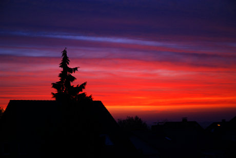 Foto: Sonnenaufgang