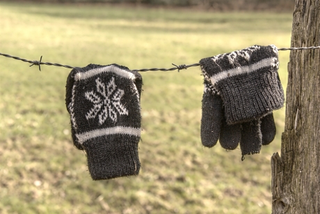 Foto: Handschuhe an Stacheldrahtzaun
